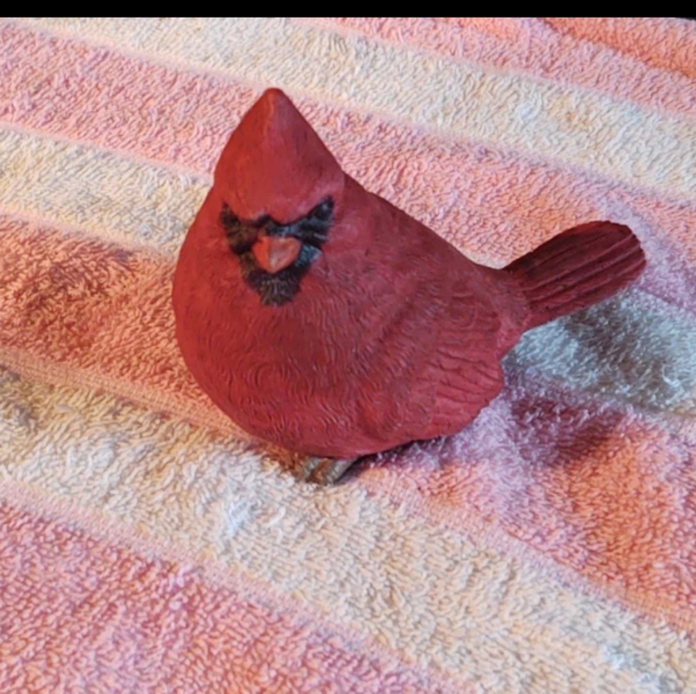 Cardinal